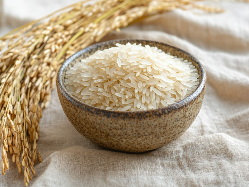 Aged basmati rice grains with paddy stalks